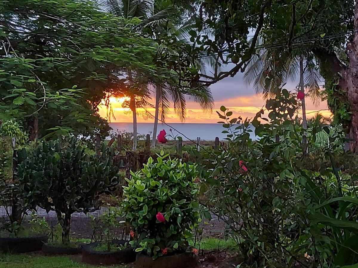 Hotel Gitana Corcovado, Y Tour Operador Drake Bay Luaran gambar