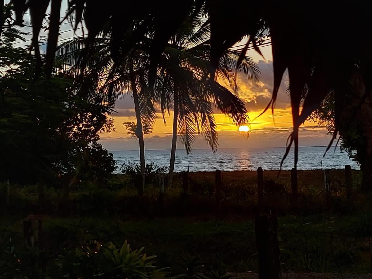 Hotel Gitana Corcovado, Y Tour Operador Drake Bay Luaran gambar