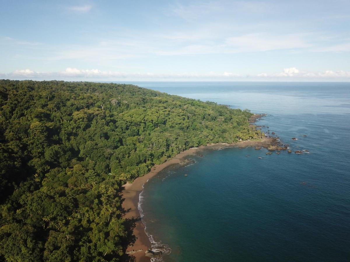 Hotel Gitana Corcovado, Y Tour Operador Drake Bay Luaran gambar