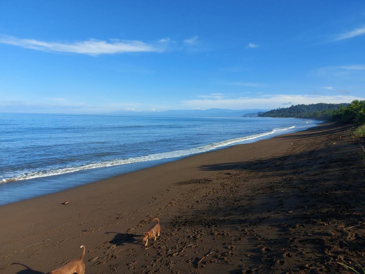 Hotel Gitana Corcovado, Y Tour Operador Drake Bay Luaran gambar