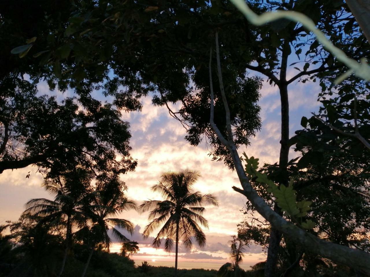 Hotel Gitana Corcovado, Y Tour Operador Drake Bay Luaran gambar